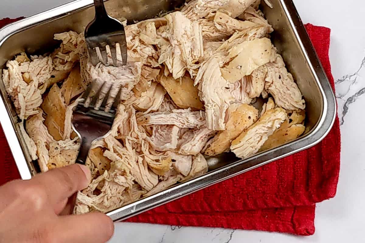 shredding chicken in a metal rectangle pan with high sides with two forks.