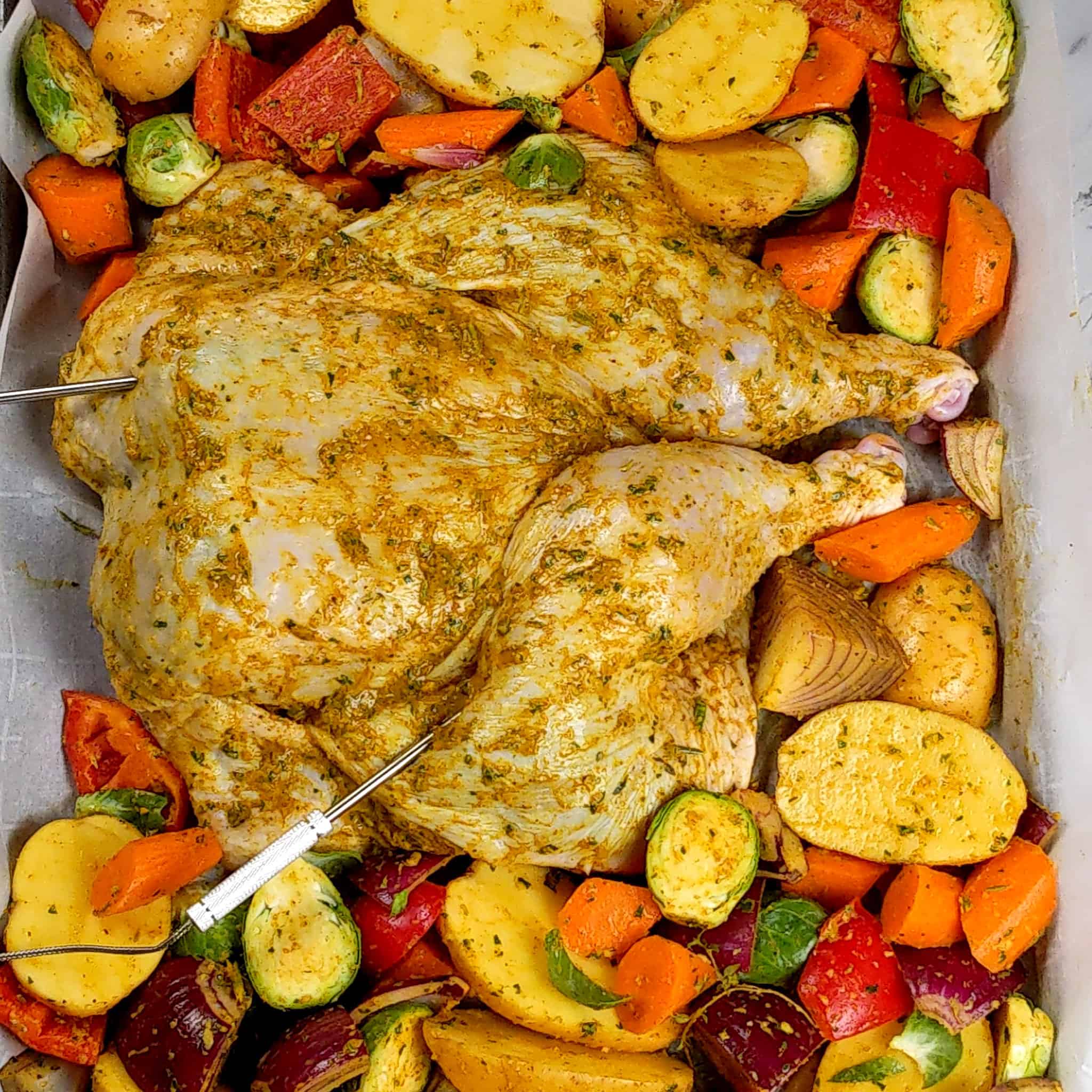 curry wet rub seasoned spatchcocked chicken with wings tucked in a on parchment paper layered sheet pan surrounded by seasoned cut mixed vegetables with thermometer probe in the thigh and breast oft the chicken
