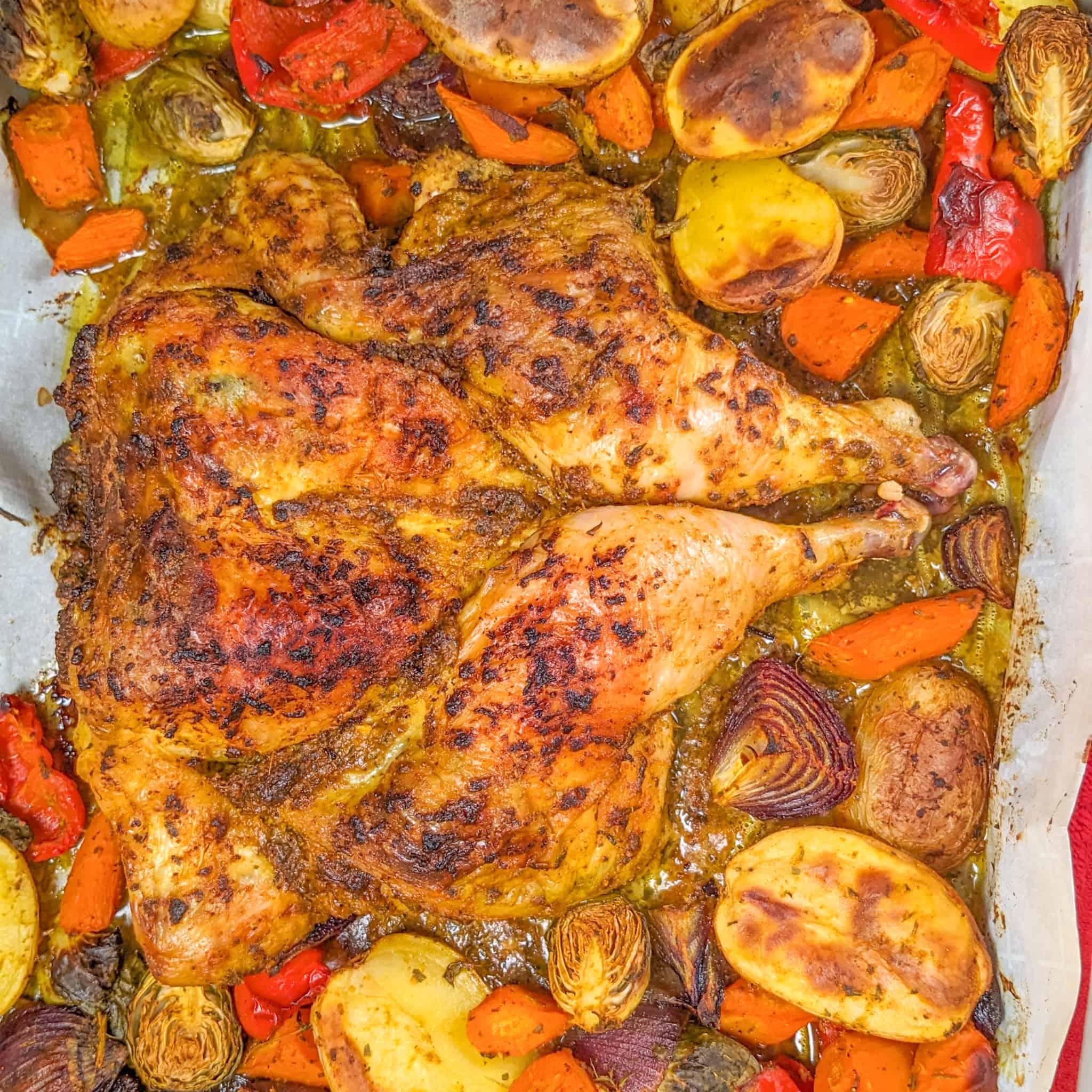 roasted curry spatchcocked chicken and vegetables on a parchment paper layered sheet pan.