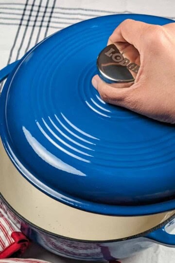 the lodge enameled coated dutch oven in blue.