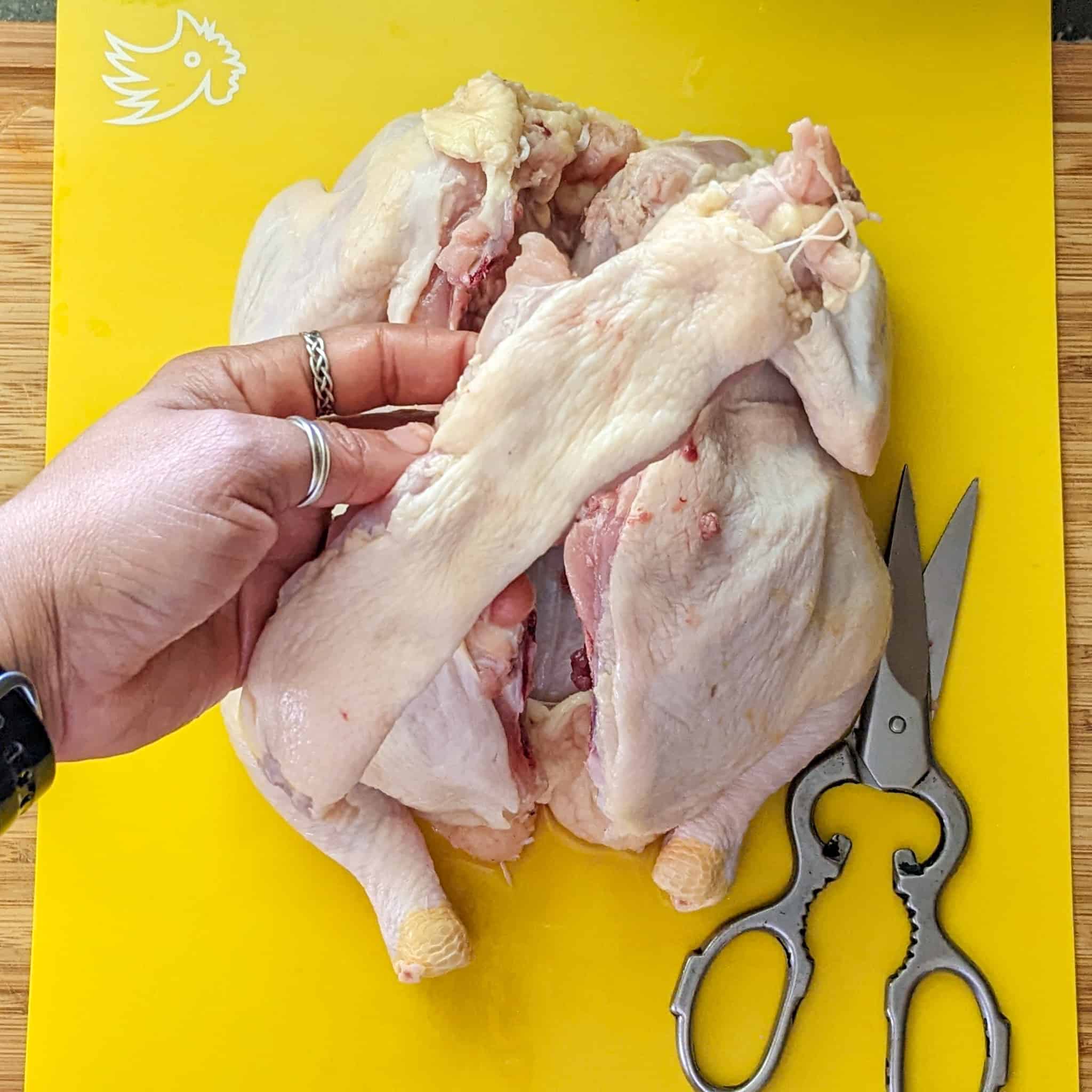 hand holding the removed backbone of the chicken