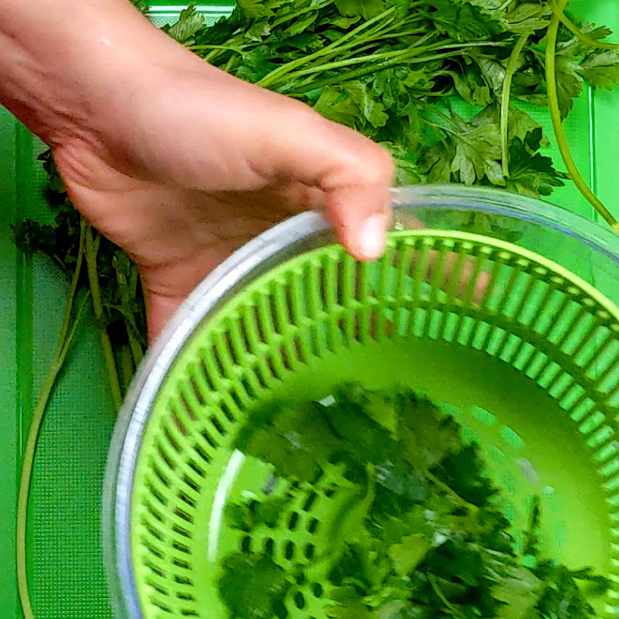 a hand holding a salad spinner base and basket filled with parsley leaves over a cutting board with a bunch of fresh parsley