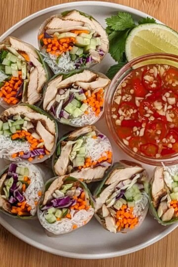 sliced lemongrass chicken, cabbage, rice vermicelli spring roll with nouc cham sauce on side all on a round flat plate.