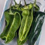 close up of poblano peppers.