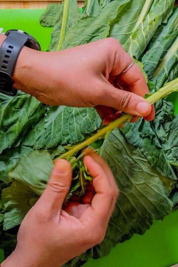 hands picking the leaf away from the stem.