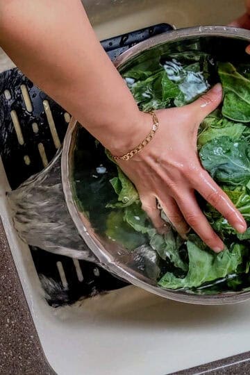 hands holding the greens with the bowl tilted to pour out the water.