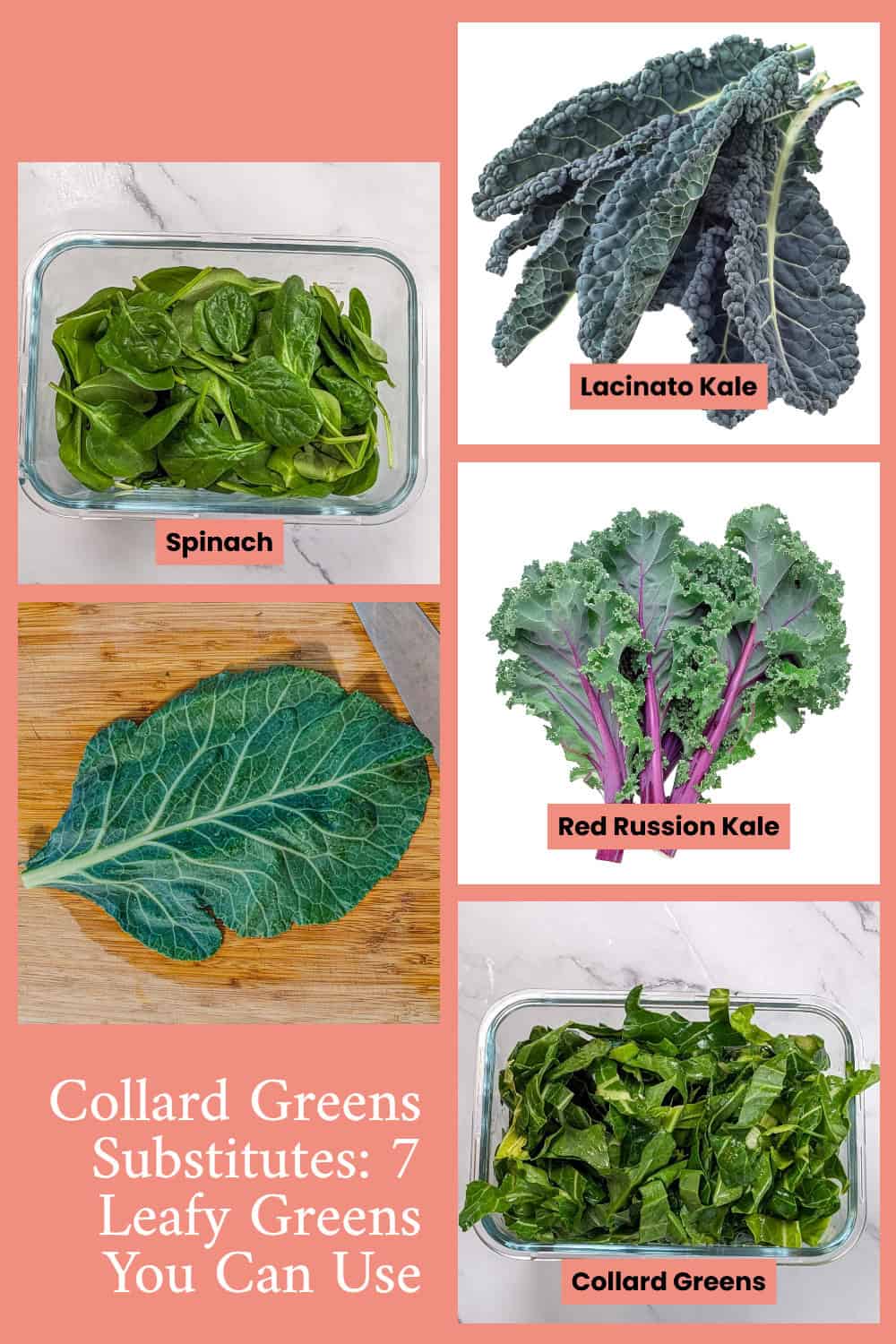 Best Collard Greens Substitutes: 7 Leafy Greens - Just Maika Cooking