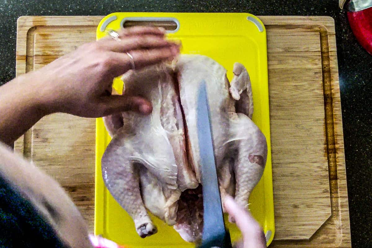 slit against the middle breast bone from top to bottom.