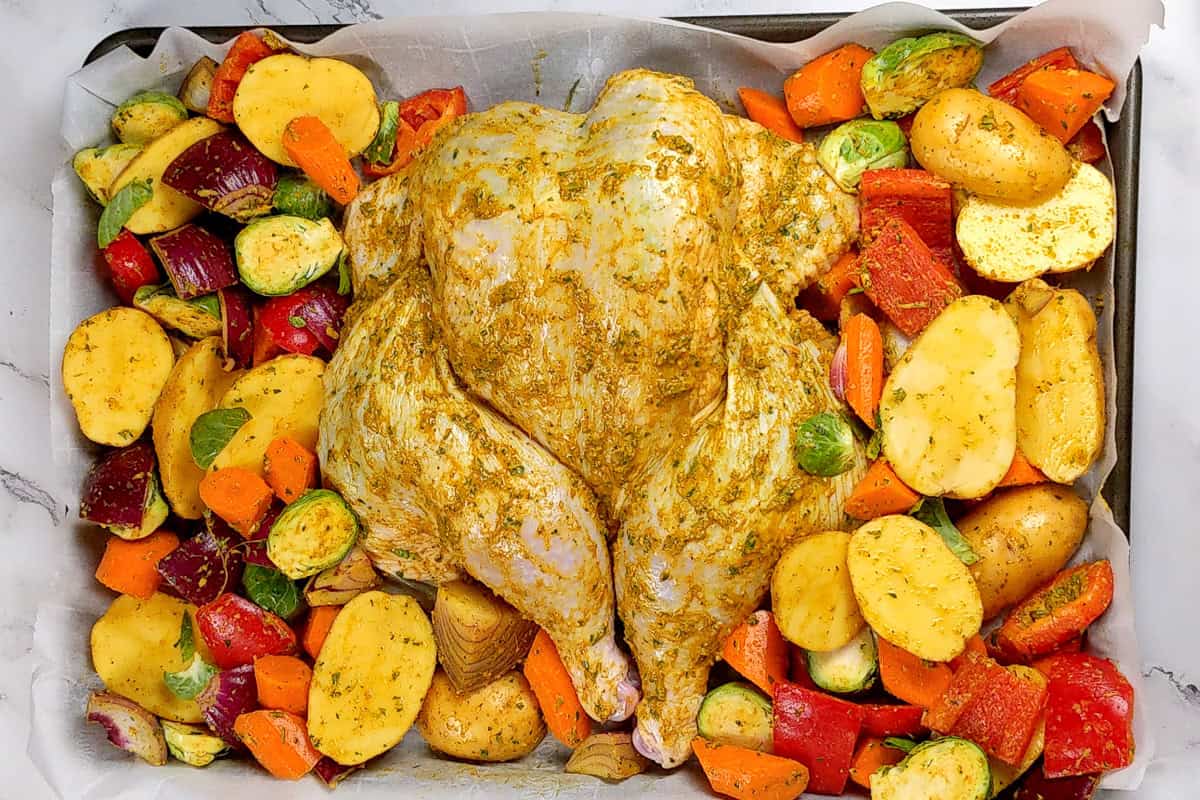 Holiday Style Spatchcock Marinated Chicken surrounded by vegetables used for the holiday kitchen safety tips post.