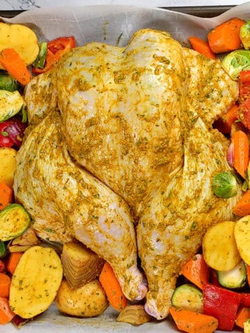 Holiday Style Spatchcock Marinated Chicken surrounded by vegetables.