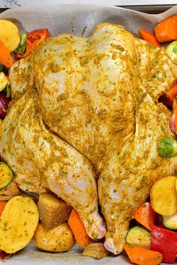 Holiday Style Spatchcock Marinated Chicken surrounded by vegetables.