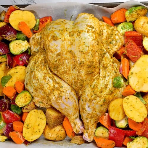 Holiday Style Spatchcock Marinated Chicken surrounded by vegetables.