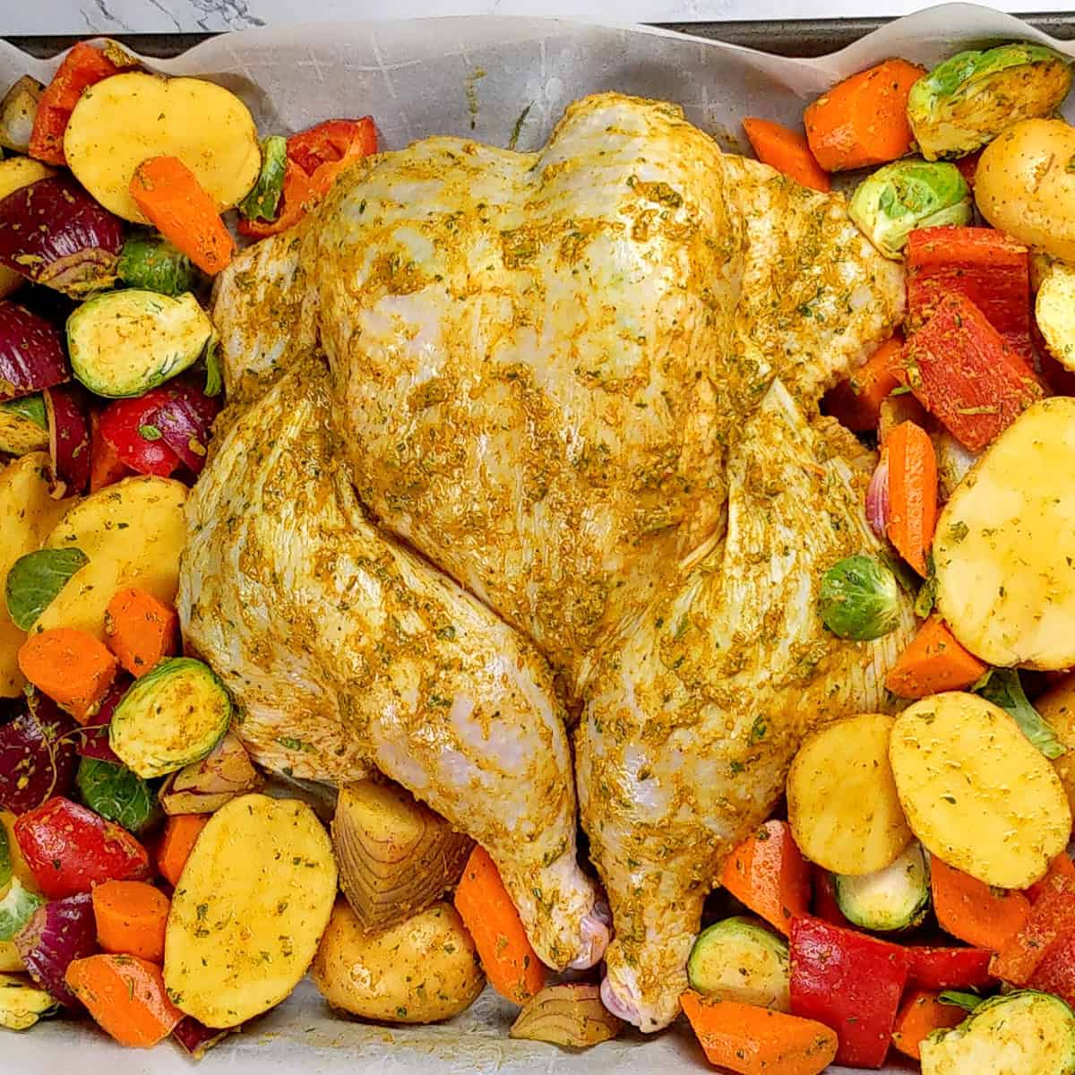 Holiday Style Spatchcock Marinated Chicken surrounded by vegetables.