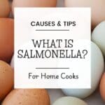 pinterest pin for What is Salmonella? For Home Cooks | Causes and Tips.