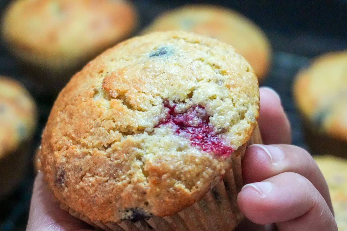 Banana Berry Corn Muffins with Yogurt in hand up-close.