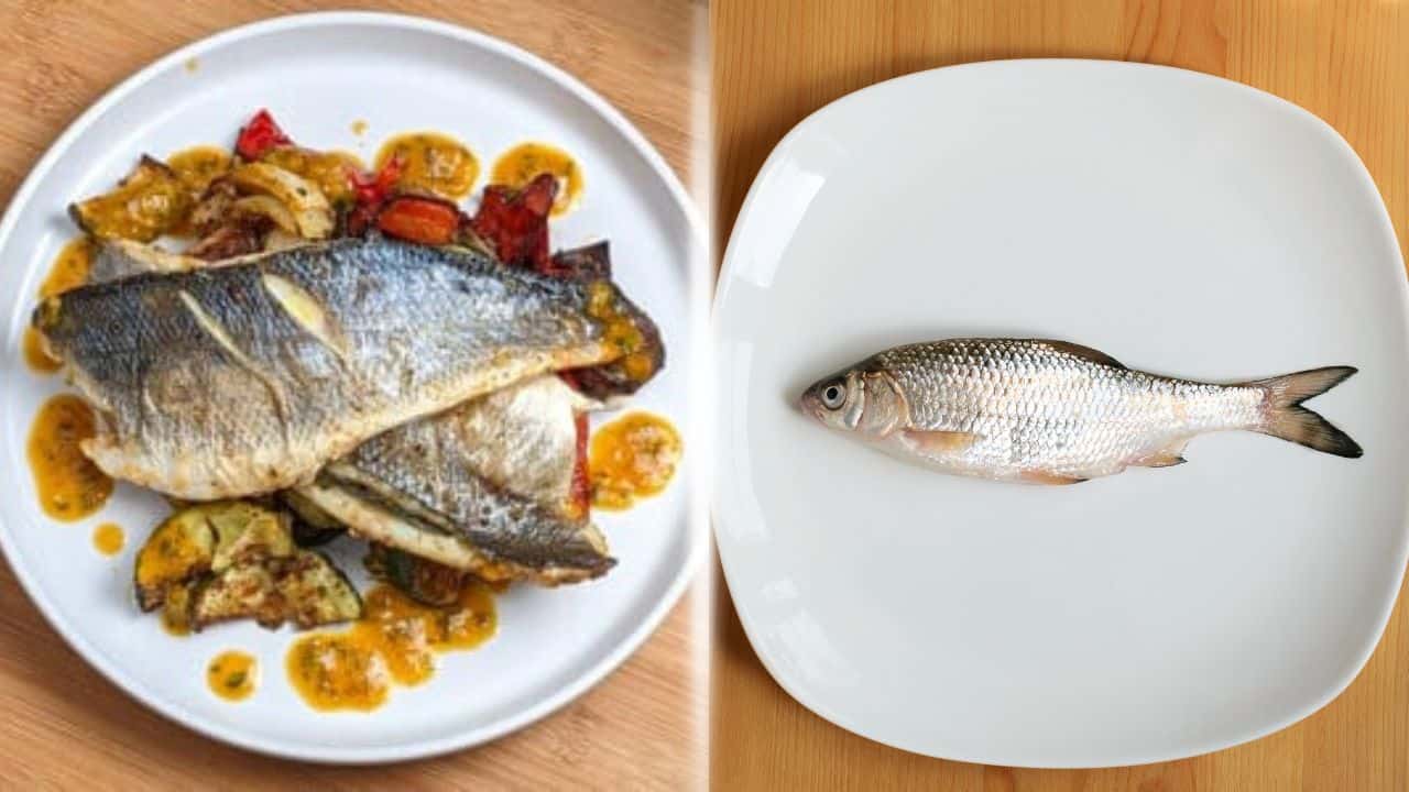 split image of cooked branziono flaky fish on the left and raw whole fish on the right on white plates.