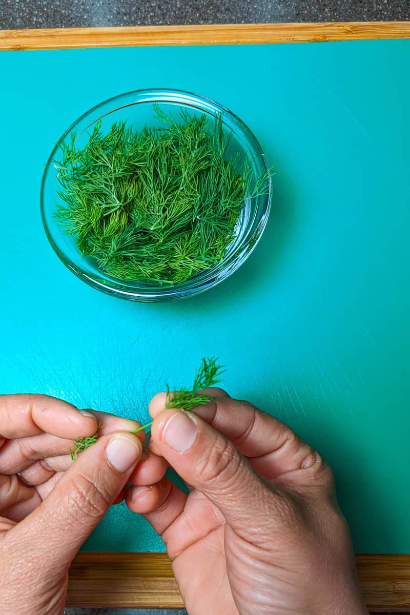 plucking fresh dill and placed in a glass container.