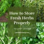 pinterest pin for how to sfore fresh herbs.