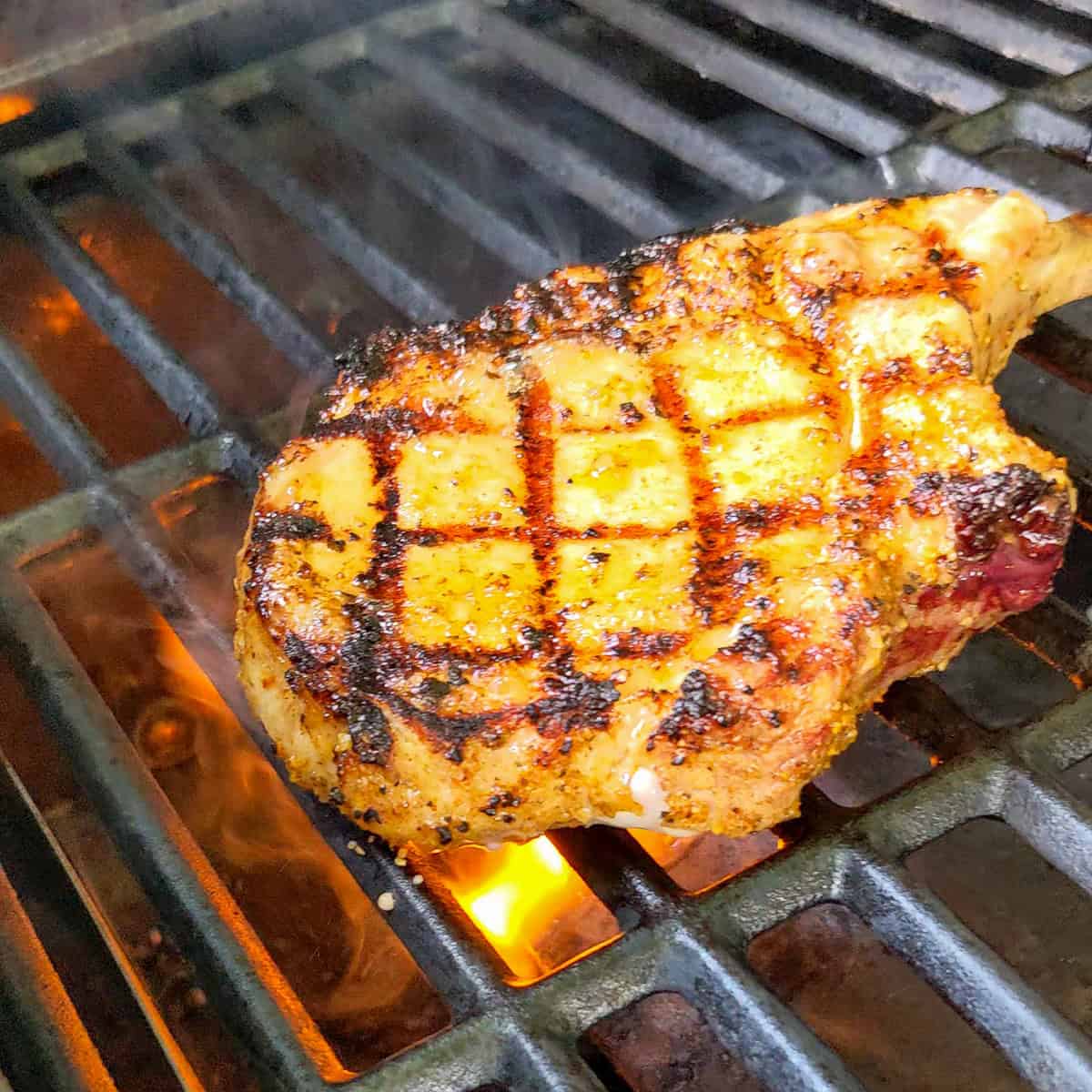 grilled pork chops with diamond grill marks on an outside grill with cast iron grates.