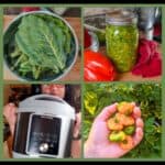 Instant Pot Collard Greens with Smoked Turkey: 4 split image with a picture of collard greens, epis jar, intant pot and scotch bonnet pepper.