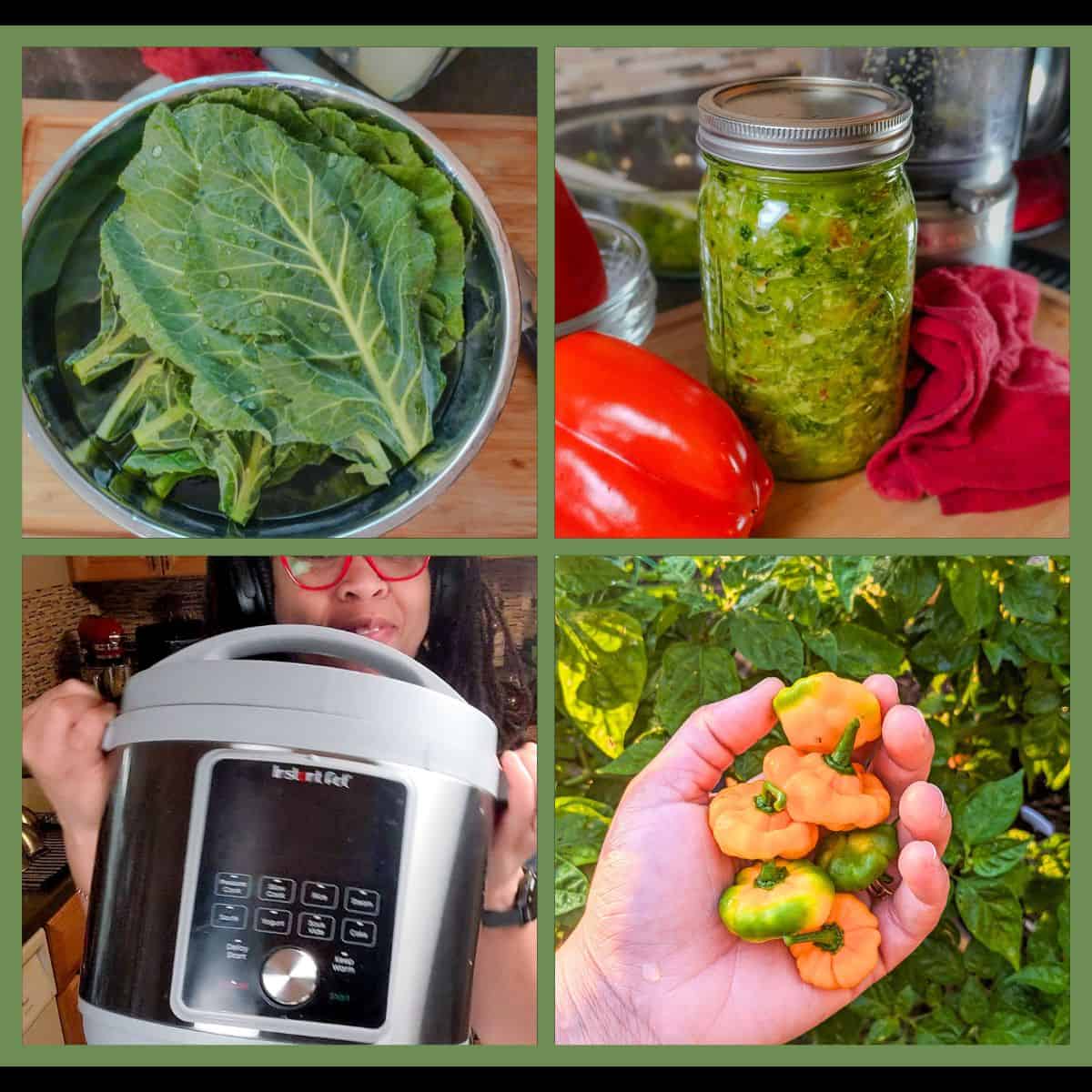 Instant Pot Collard Greens with Smoked Turkey: 4 split image with a picture of collard greens, epis jar, intant pot and scotch bonnet pepper.