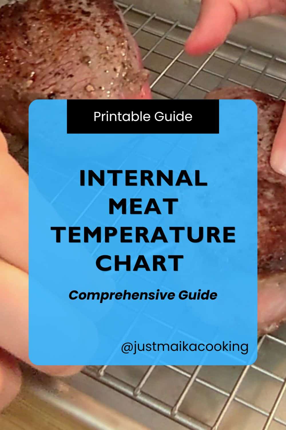 Internal Meat Temperature Chart (Printable Guide) - Just Maika Cooking