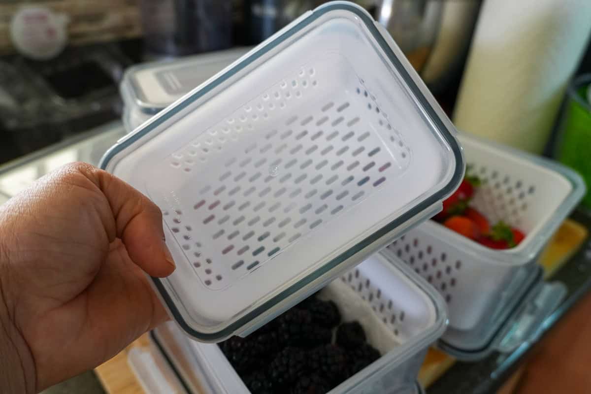 empty 5-Pack Fruit Storage Container.