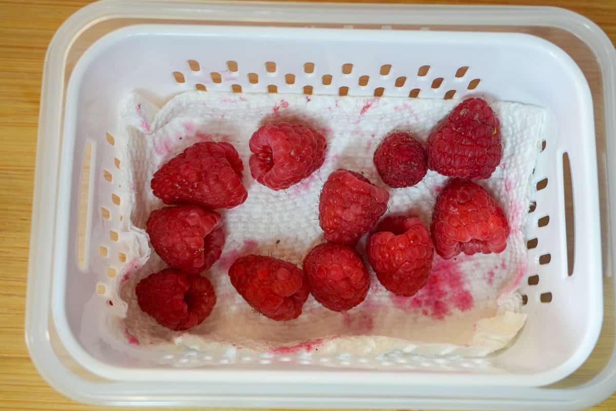 upclose of the raspberries in a Fruit Storage Container.