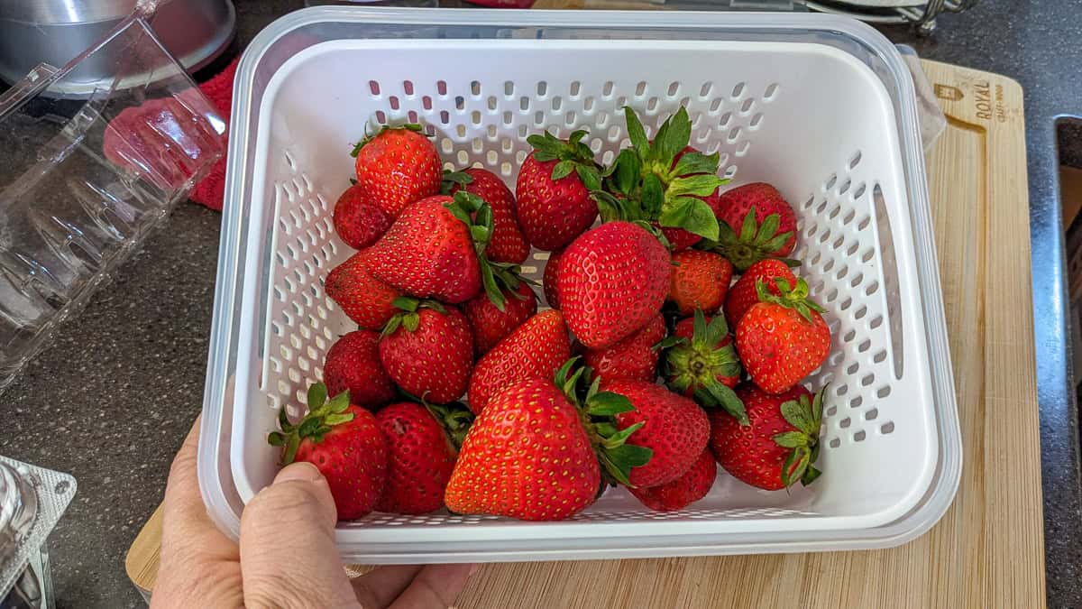 a container of strawberries.