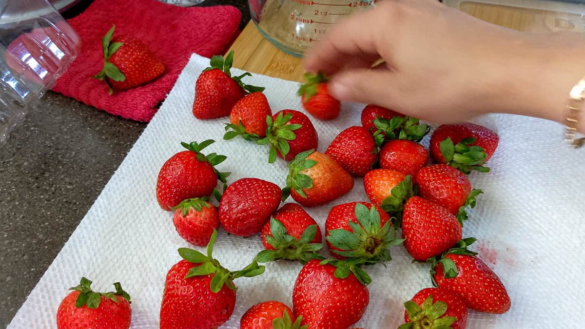 wet strawberries on paper towel.