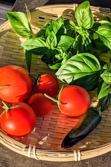 Fresh tomatoes, basil leaves, and a jalapeño pepper in a basket.