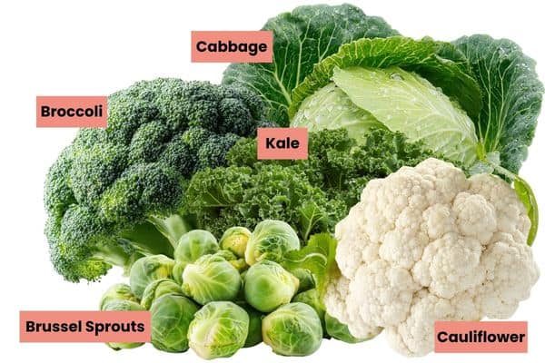 Cruciferous vegetables labeled.