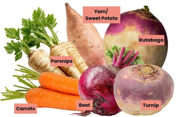 Sweet potatoes, carrots, beets, turnips, rutabagas, and parsnips labeled root vegetables.
