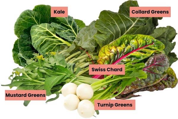 leafy greens labeled.