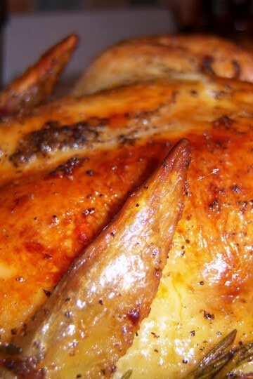 close up of homemade golden brown roasted chicken.