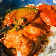 Bone-in chicken, kabocha, and carrots in red sauce beside a bowl of white rice.