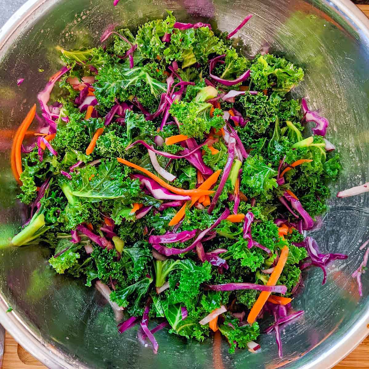 massaged kale with strips of carrots, red radish and purple cabbage in a large metal bowl.