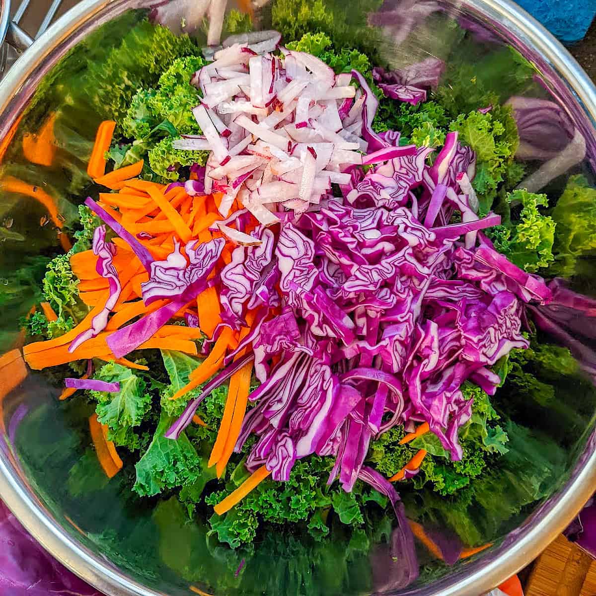massaged kale with strips of carrots, red radish and purple cabbage with all ingredients seperated.