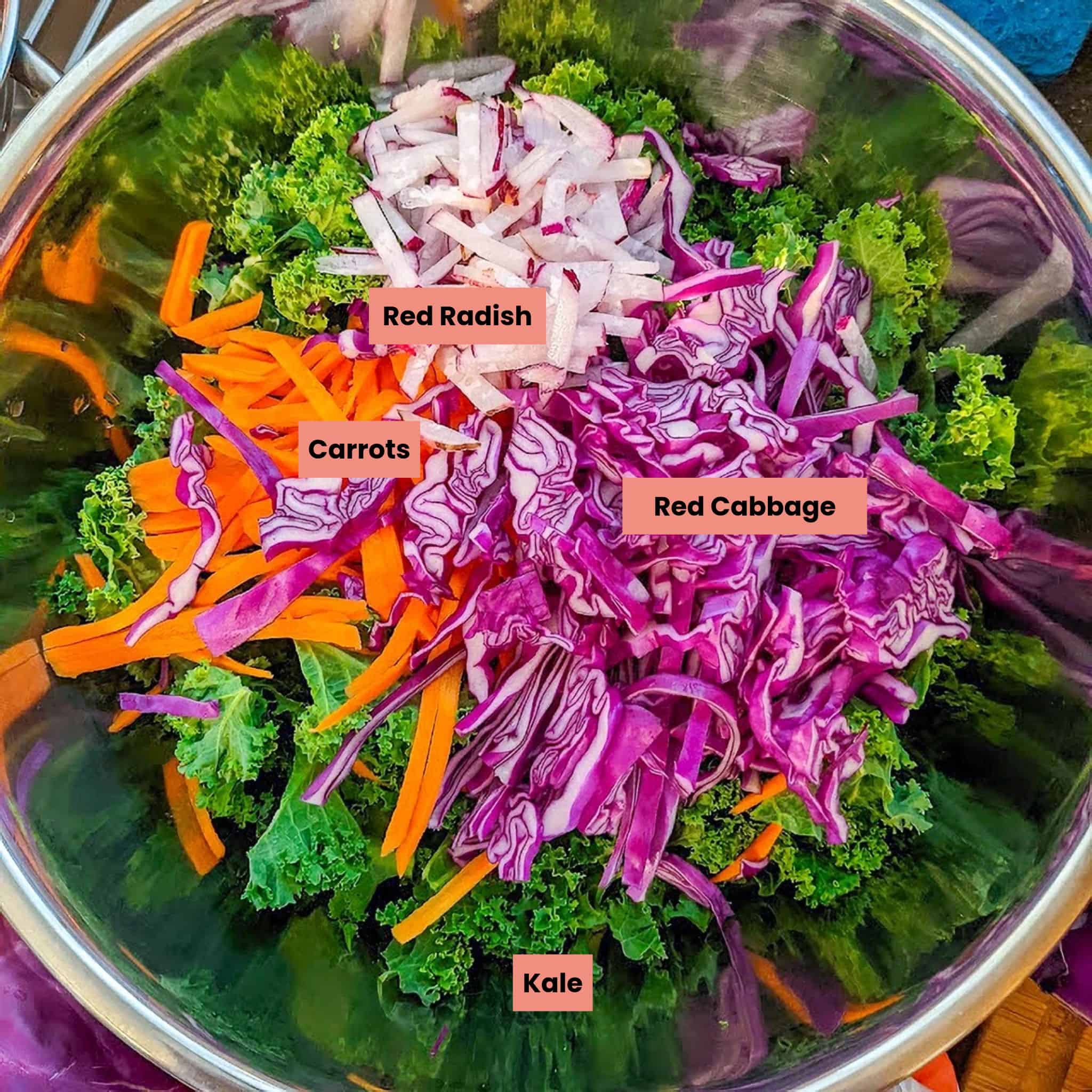 kale, shredded carrot, shredded red radishes, and thinly sliced red cabbage in a large mixing bowl and labeled.