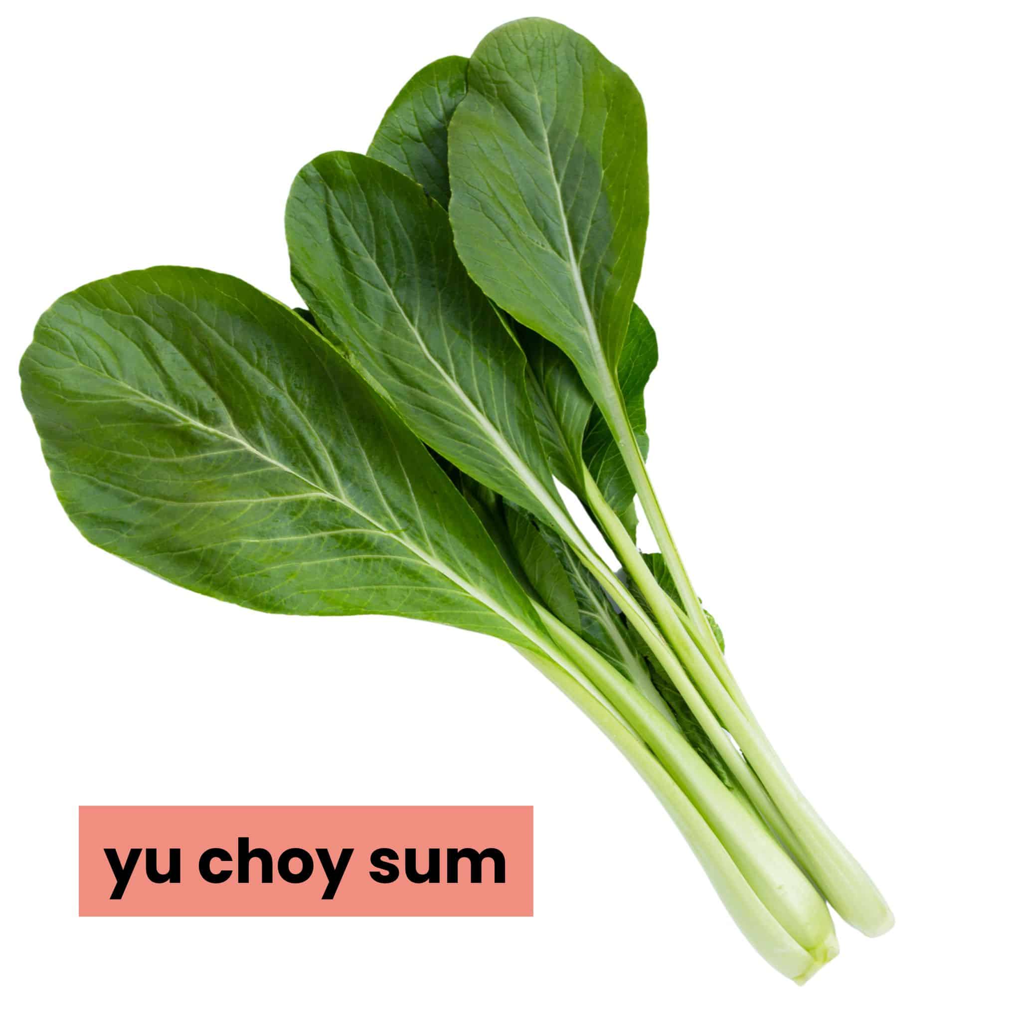 yu choy sum.